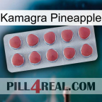 Kamagra Pineapple 18